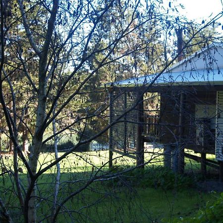 Hawke Brook Chalets Pemberton Zewnętrze zdjęcie