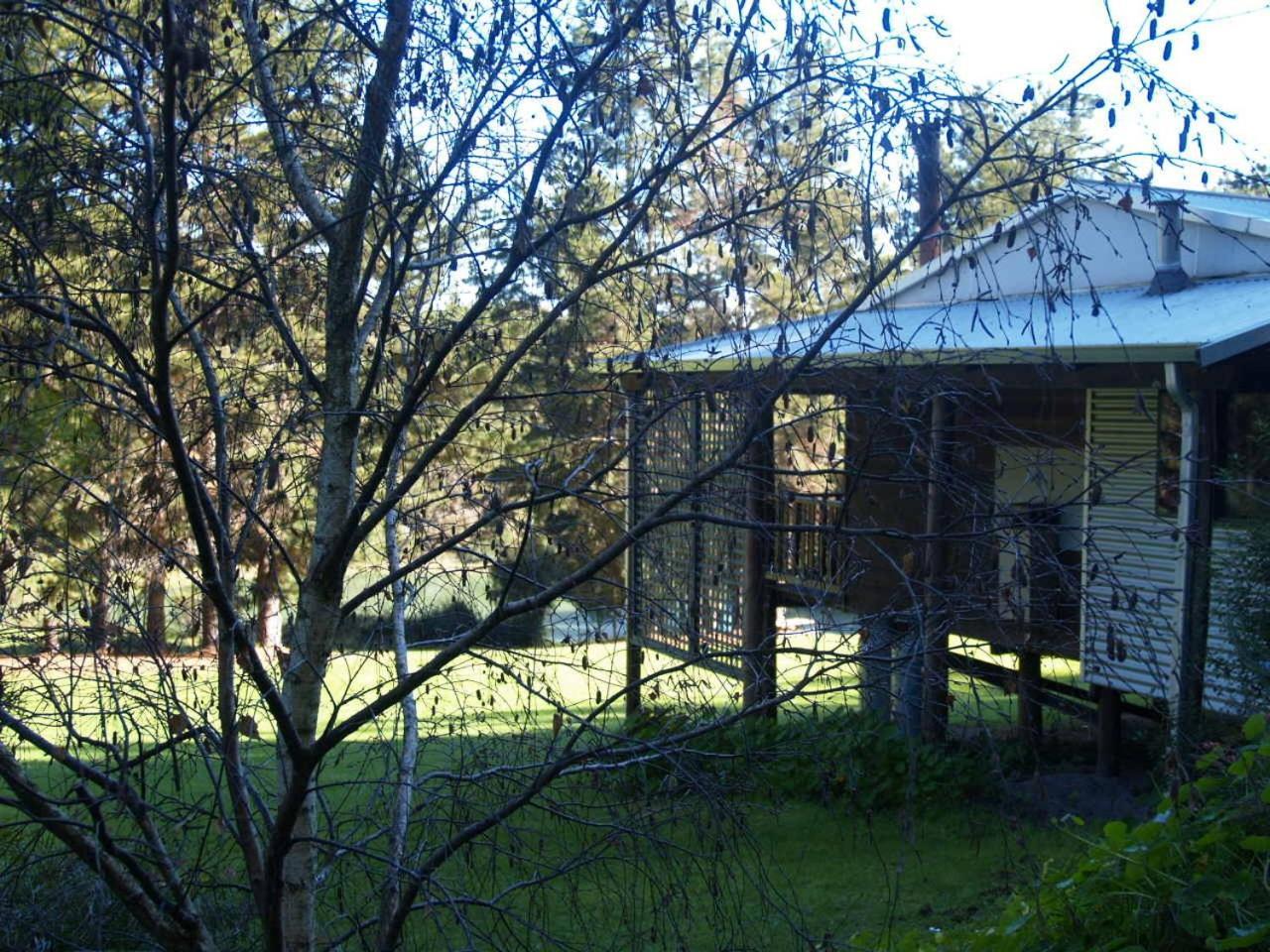 Hawke Brook Chalets Pemberton Zewnętrze zdjęcie