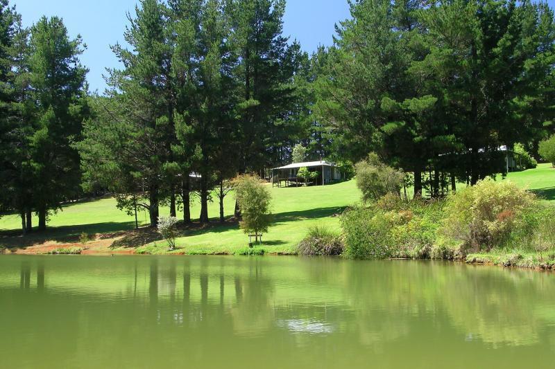 Hawke Brook Chalets Pemberton Zewnętrze zdjęcie